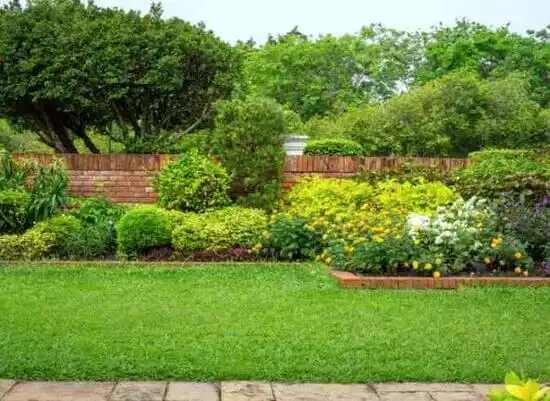 landscaping services Mineral Springs